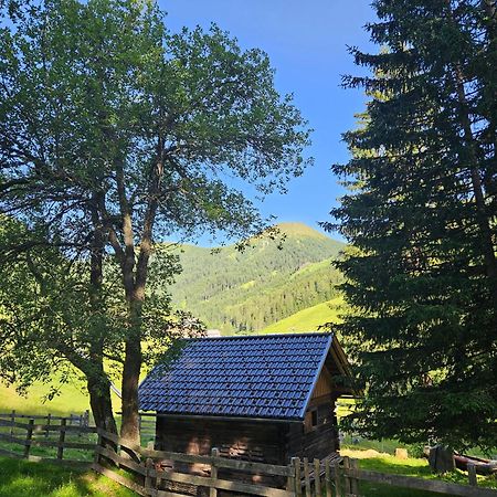 Kinder- Und Familienhotel Nockalm Innerkrems Ngoại thất bức ảnh