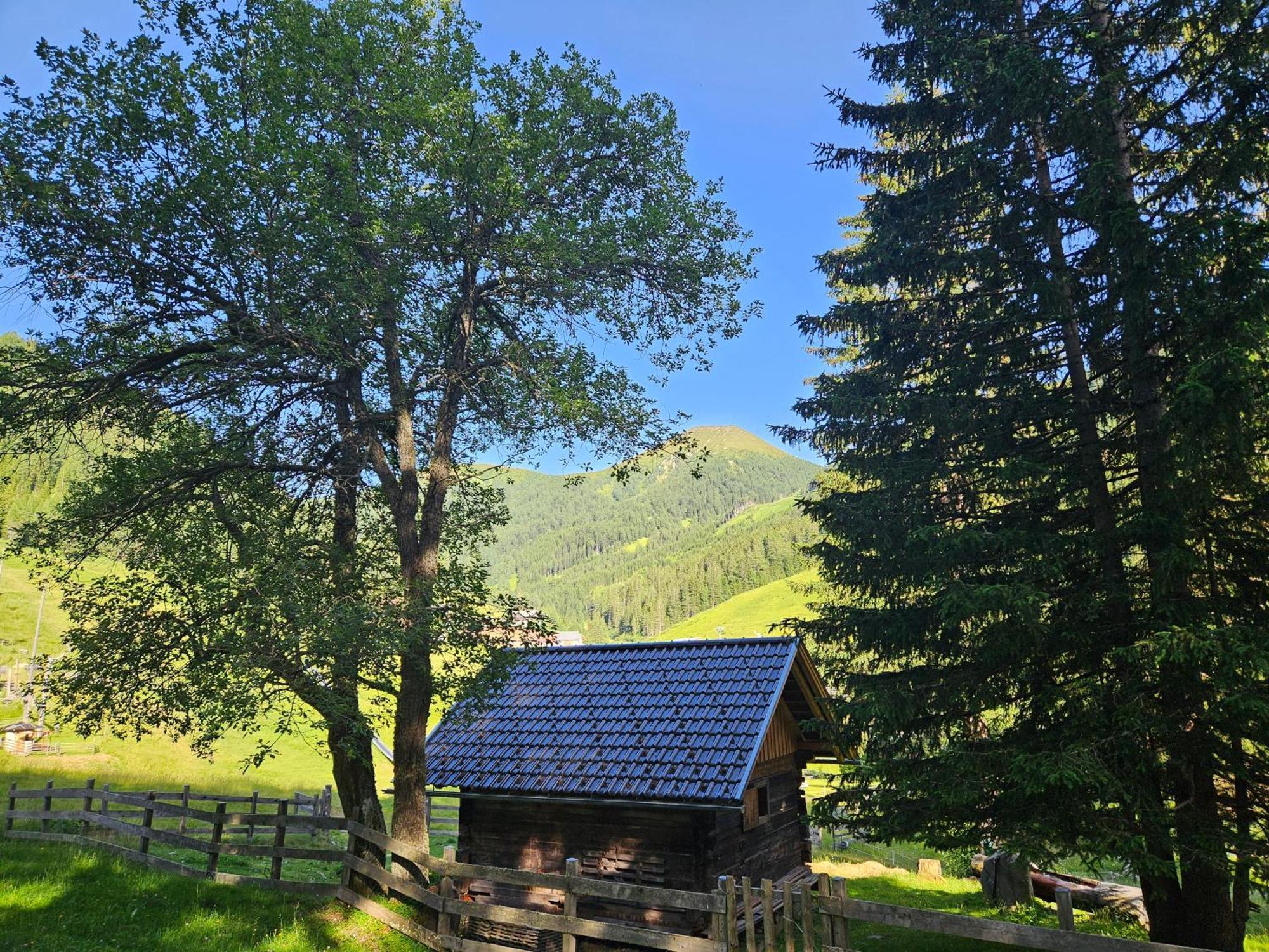 Kinder- Und Familienhotel Nockalm Innerkrems Ngoại thất bức ảnh